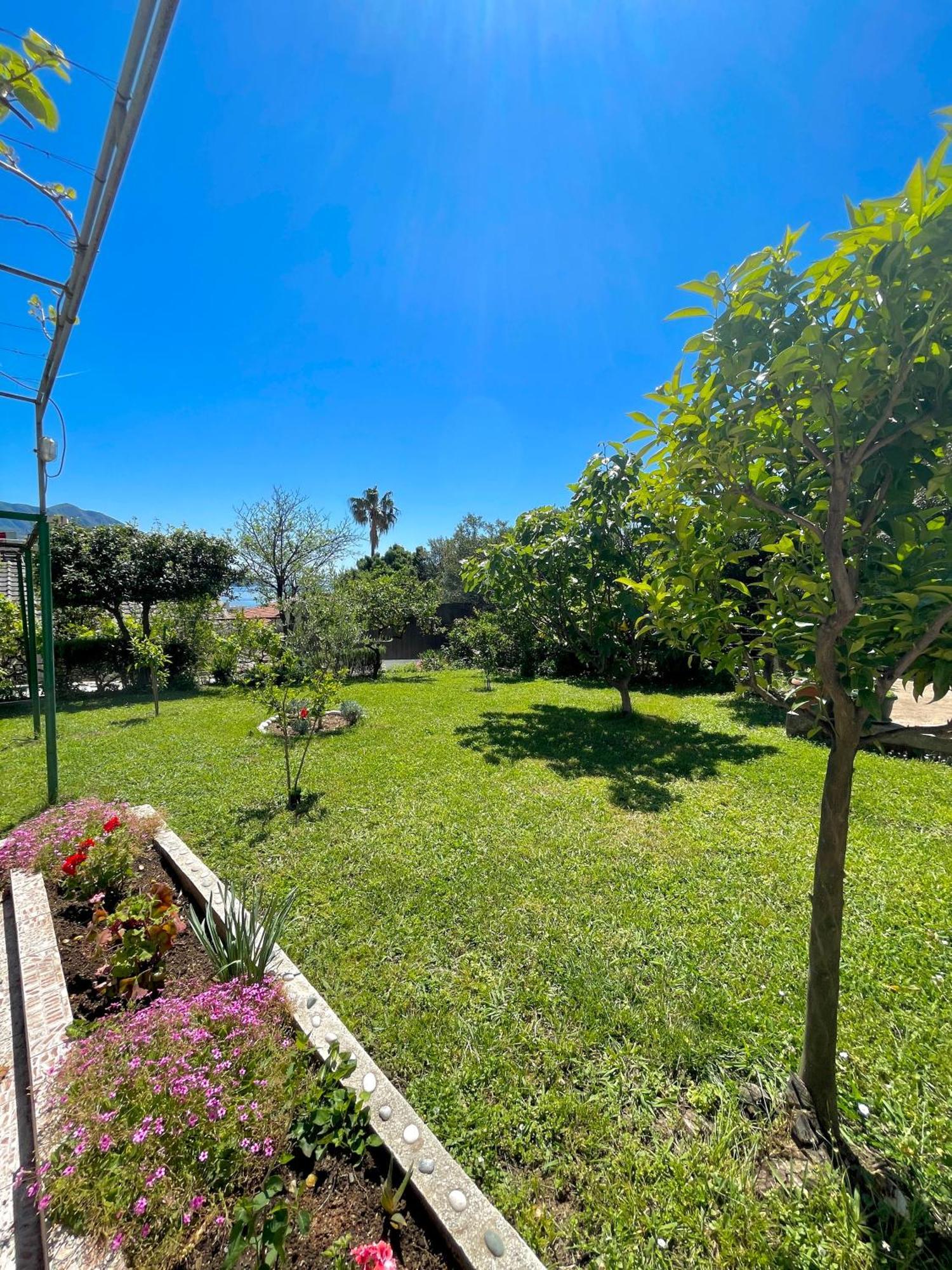 Apartments Marina Bečići Luaran gambar